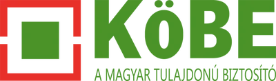 Referencia ügyfelünk logója
